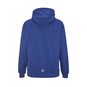 "Dresdner Eislöwen Juniors" Hoodie Senior